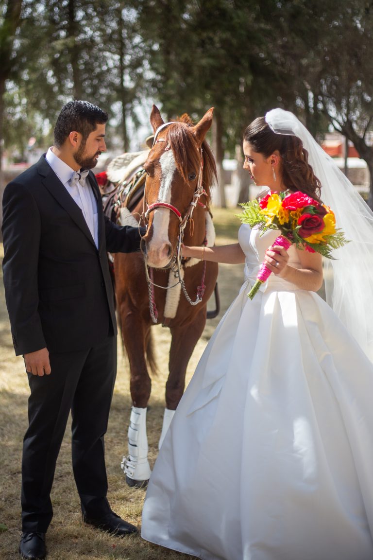 fotografías de bodas